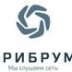 Крибрум