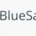 BlueSales