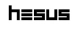 Hesus