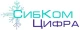 КАСКАД Цифра