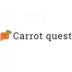 Carrot Quest